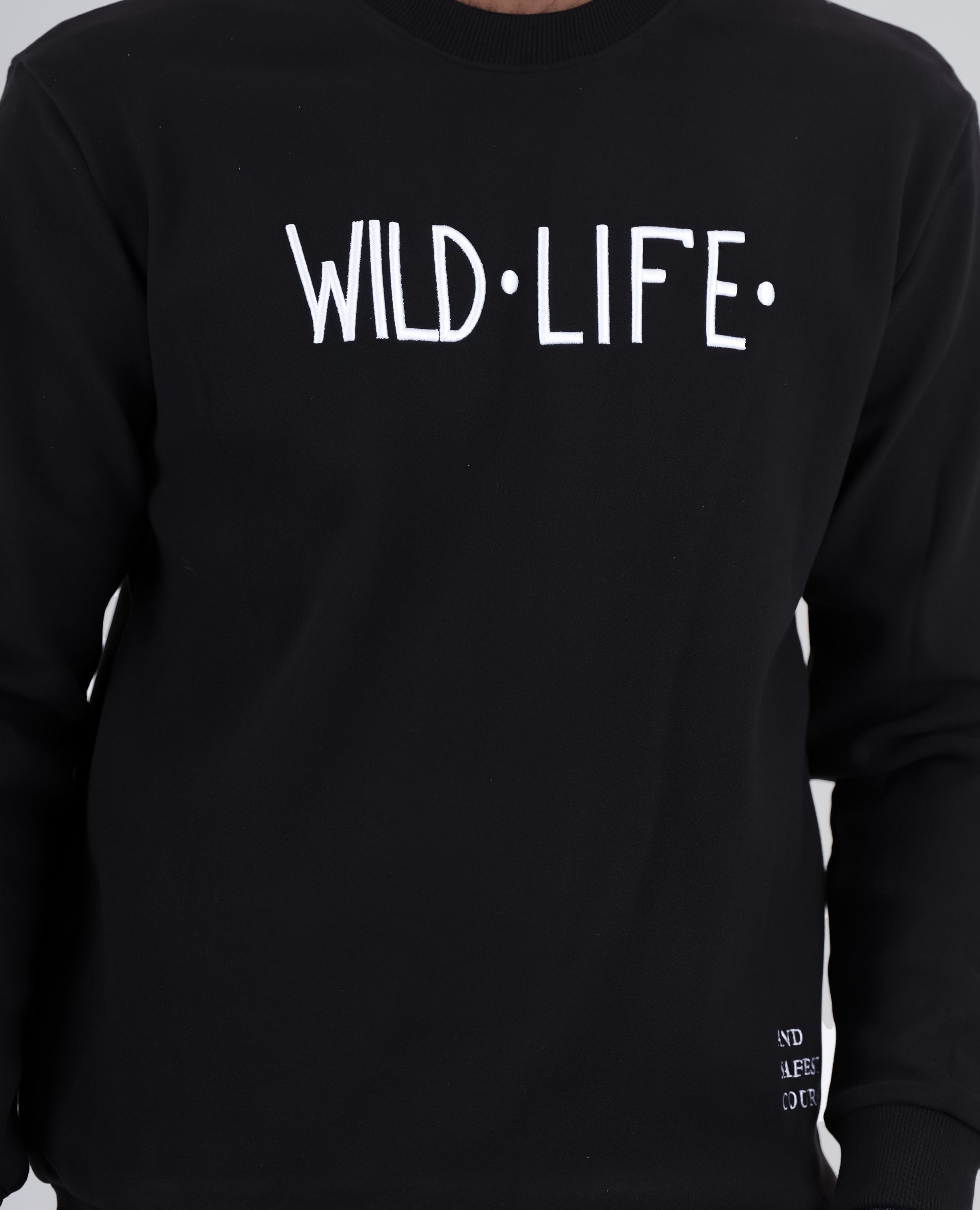 NORMAL - Men's Printed SweatShirt