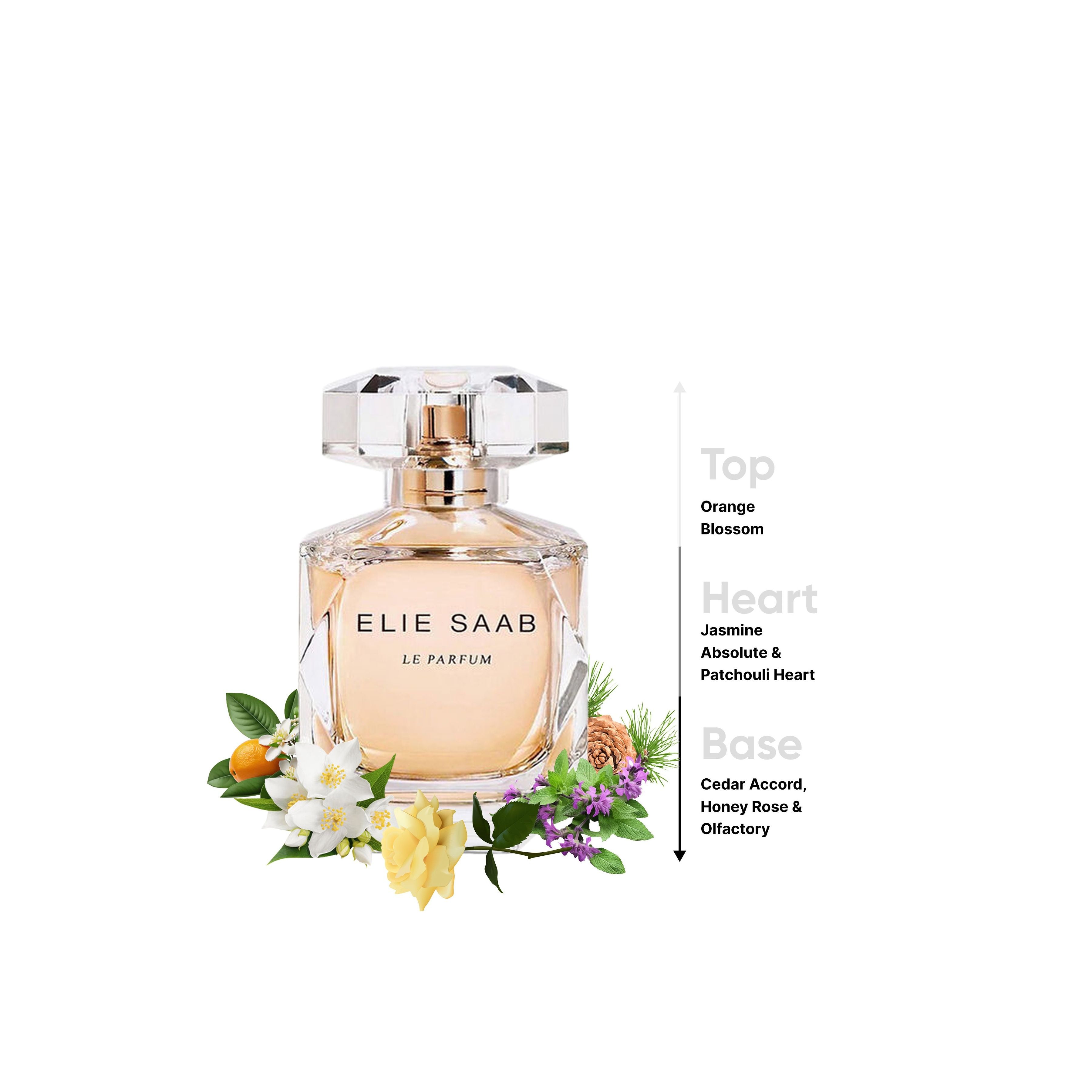 ELIE SAAB Le Parfum Eau De Parfum Vaporisateur for Women - 90 ml