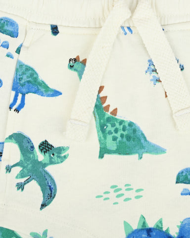 Boys Printed Shorts: Stylish and Playful for Everyday Adventures