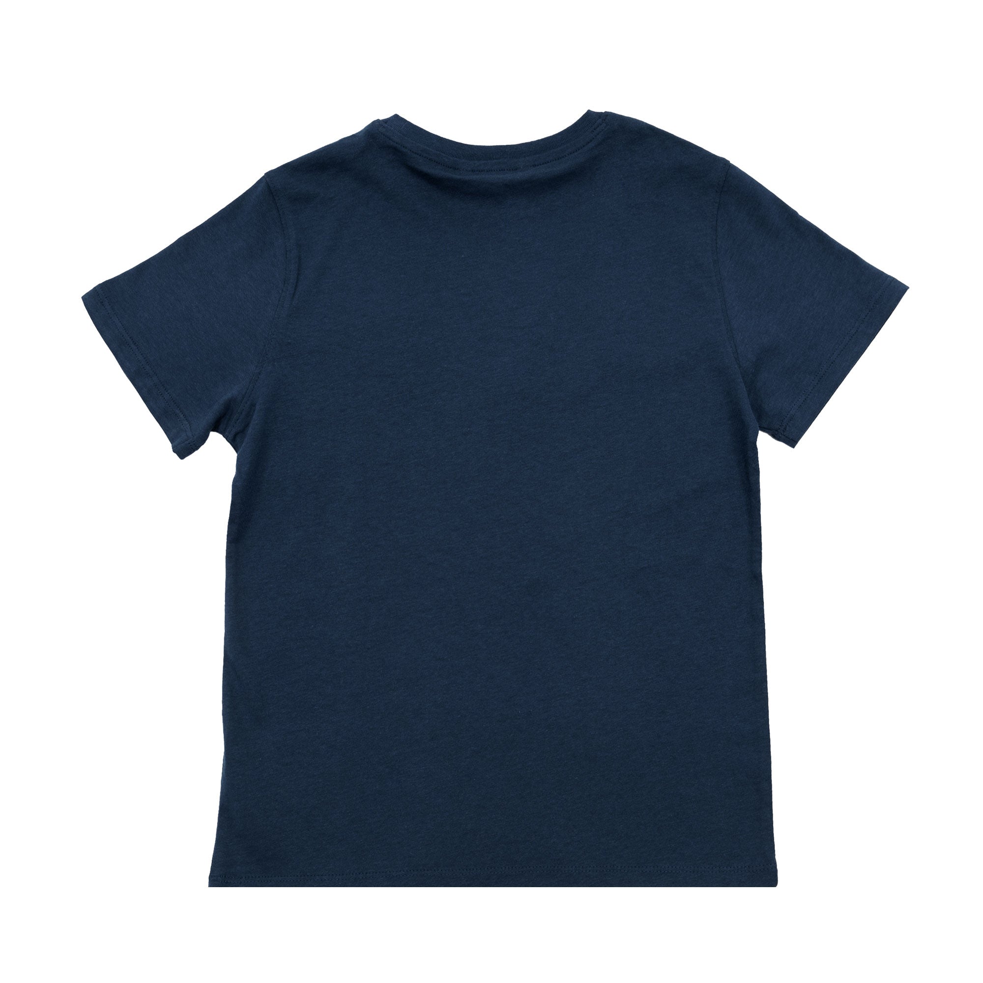 Boys Cotton T-Shirt: Essential Comfort and Style in One