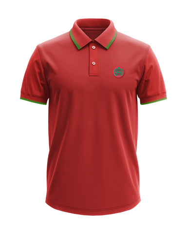 Men's Solid Polo T-Shirt