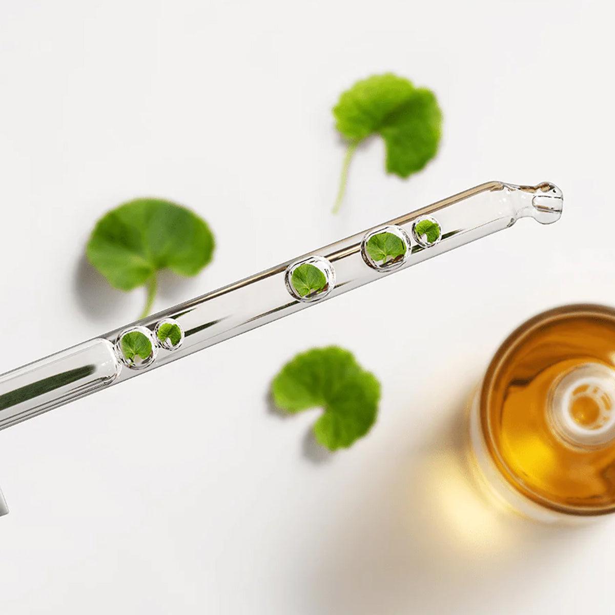 Madagascar Centella Ampoule - 55 ml/ 100 ml - FineLook
