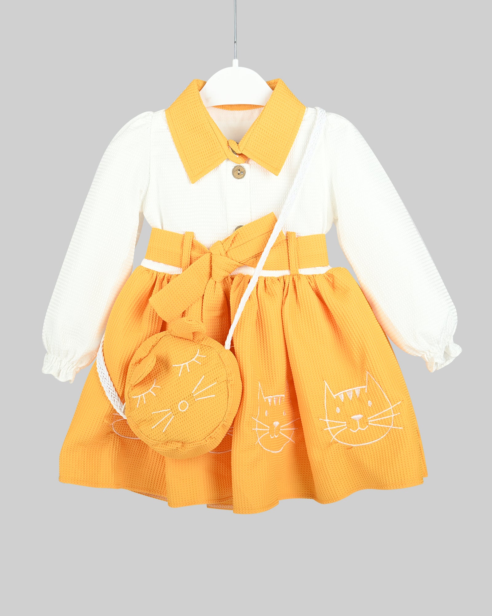 Girl Embroidered Dress with Bag